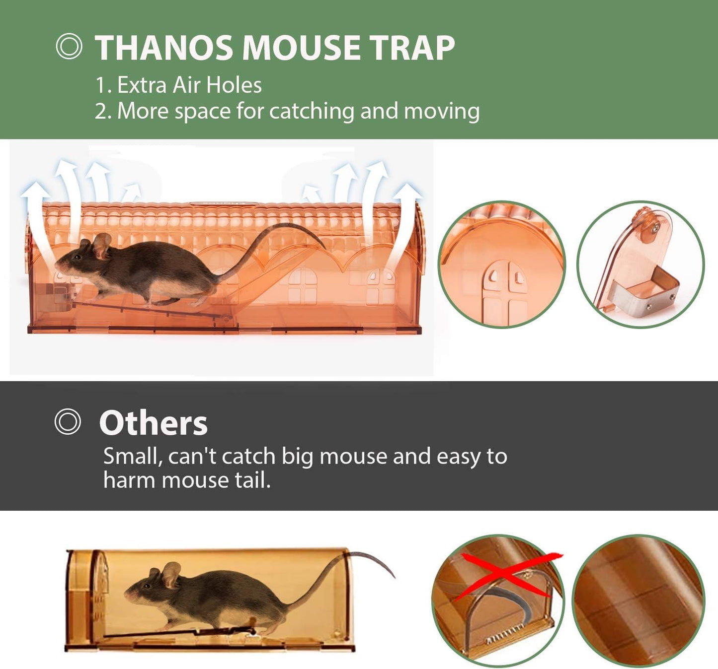 2 pack mouse trap Large 10 Inch house mouse trap